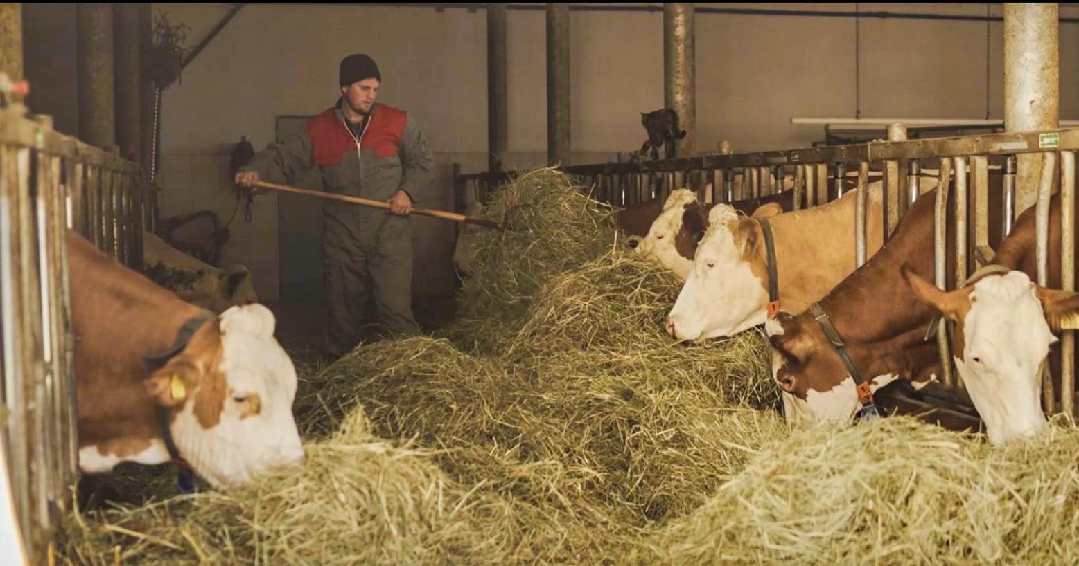 Gasserhof Campo di Trens Kültér fotó