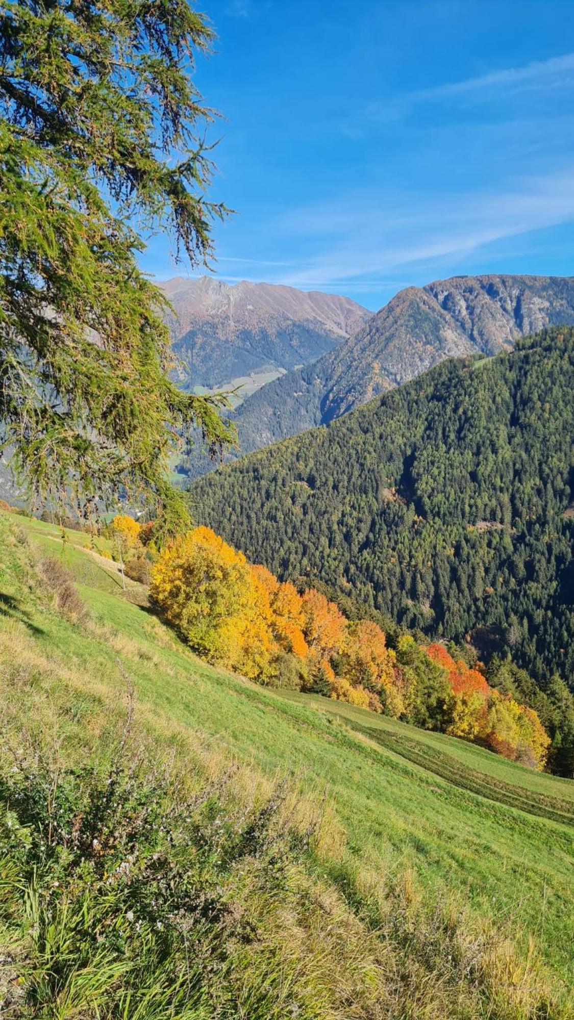 Gasserhof Campo di Trens Kültér fotó